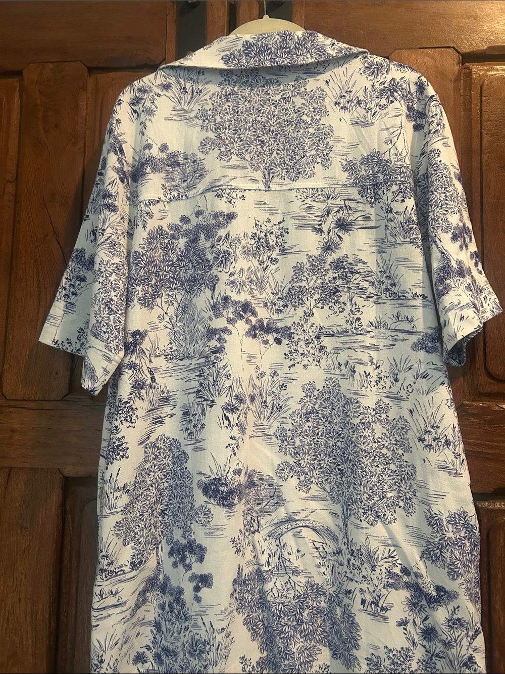 Olivaceous Blue and White Toile Dress - Picture 5 of 6